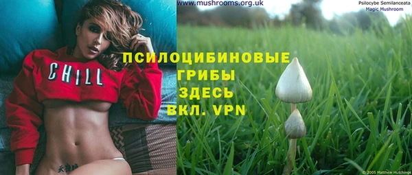 стаф Киреевск